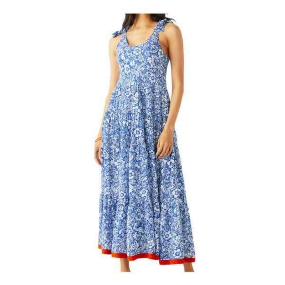 NWOT THML Blue Floral Maxi Dress